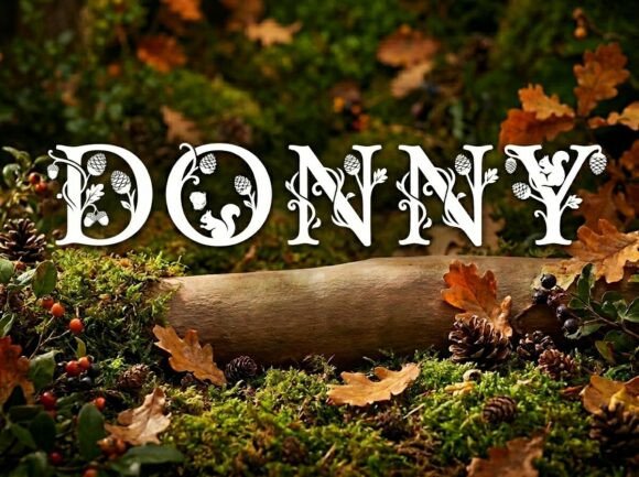 Donny: A Display Font That Commands Attention