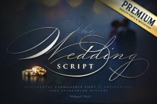 Wedding Script: An Elegant Font for Timeless Designs